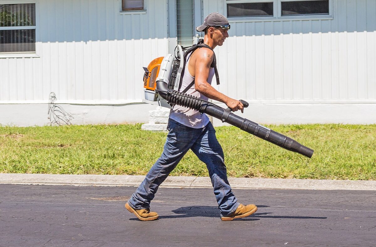 Garden Maintenance