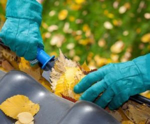 shutterstock_213280627_slider-765x318